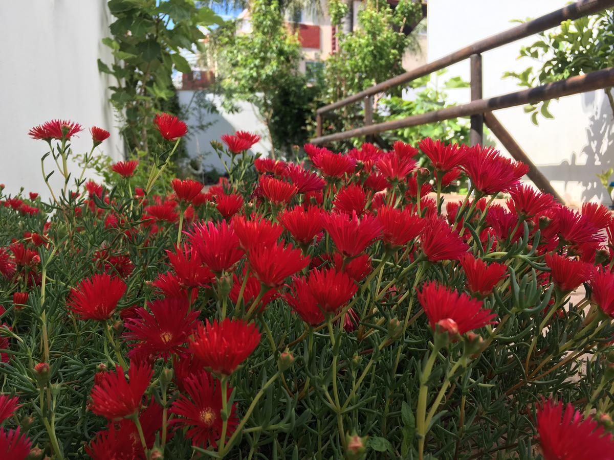 Pixel Hotel Torremolinos Eksteriør billede